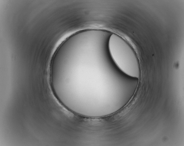 X0000091211432200708091106