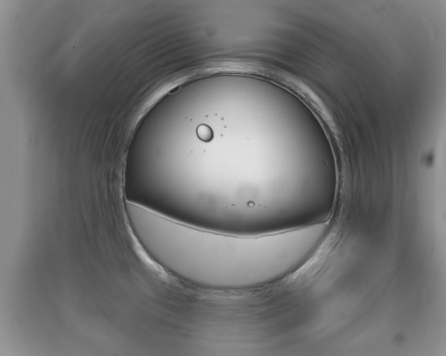 X0000091211433200708091106