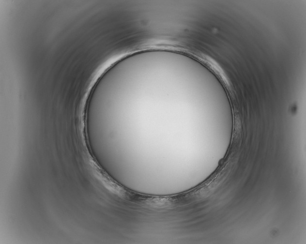 X0000091211435200708091106