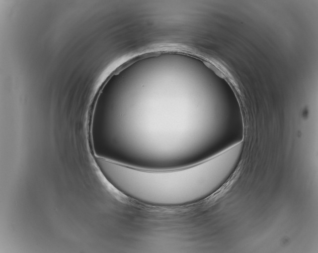X0000091211438200708091106