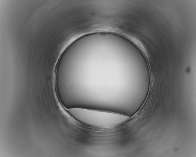 X0000091211439200708091106