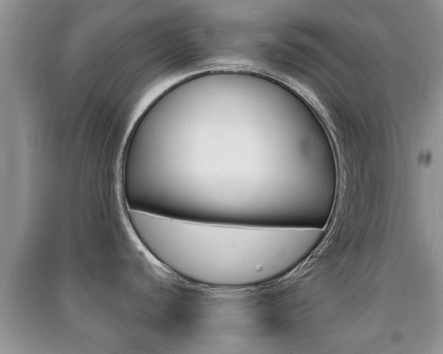 X0000091211440200708091106