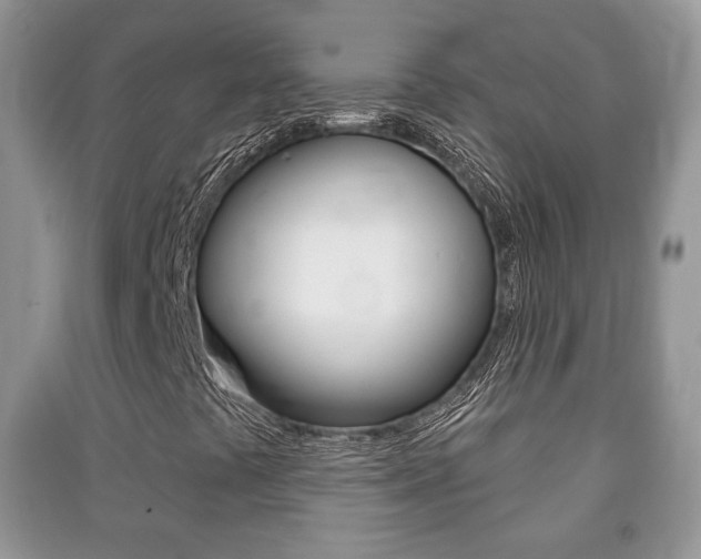 X0000091211441200708091105