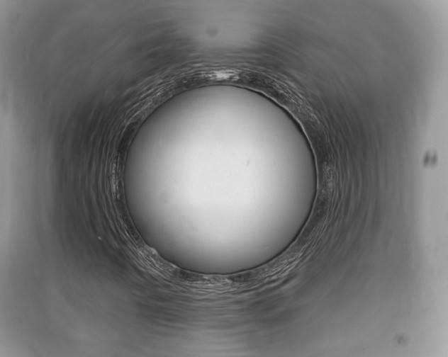 X0000091211442200708091105