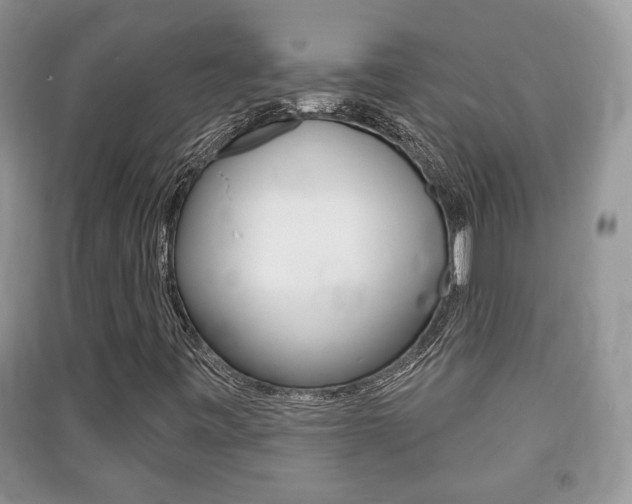 X0000091211443200708091105