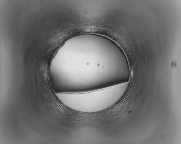 X0000091211444200708091105