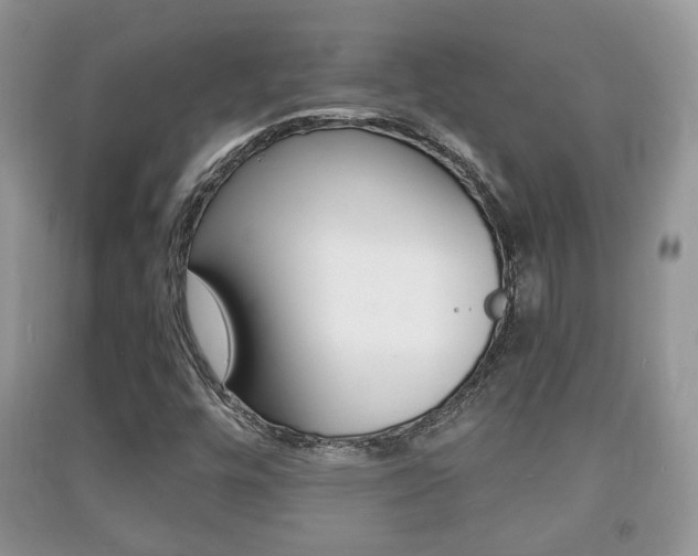 X0000091211448200708091105
