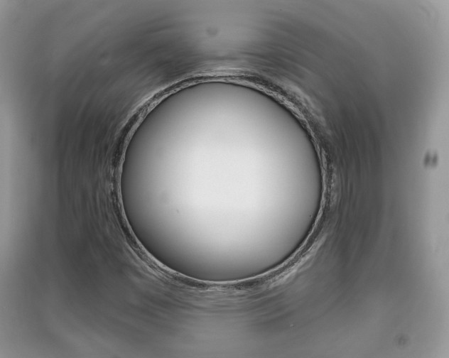 X0000091211449200708091105