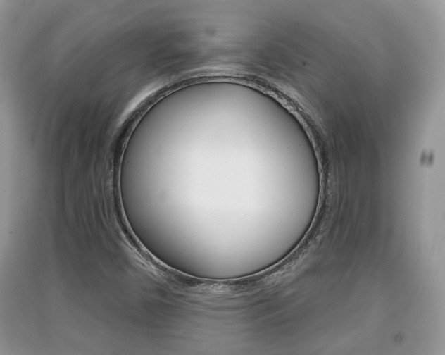 X0000091211450200708091105