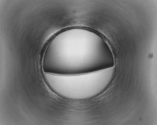 X0000091211452200708091105