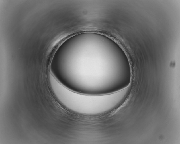 X0000091211453200708091105