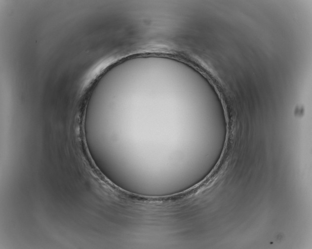 X0000091211455200708091105