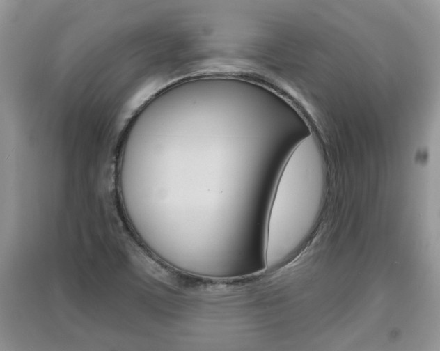 X0000091211459200708091105