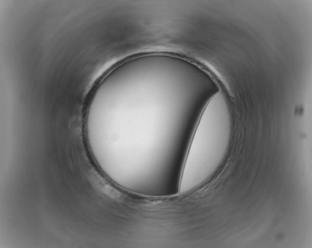 X0000091211460200708091105