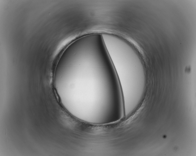 X0000091211461200708091105
