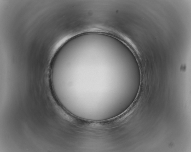 X0000091211463200708091105