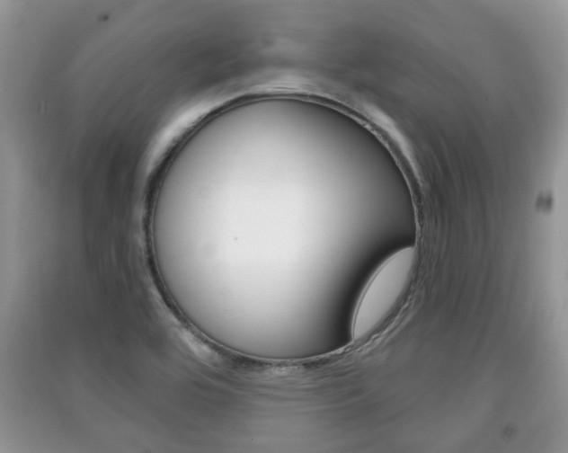 X0000091211464200708091105