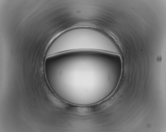 X0000091211465200708091105