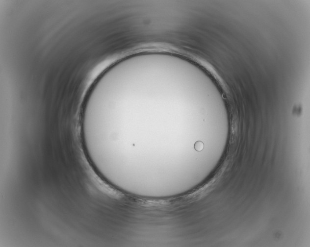 X0000091211466200708091105