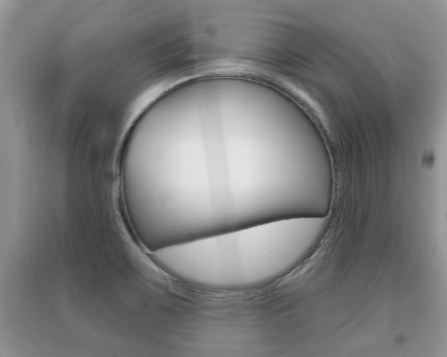 X0000091211467200708091105