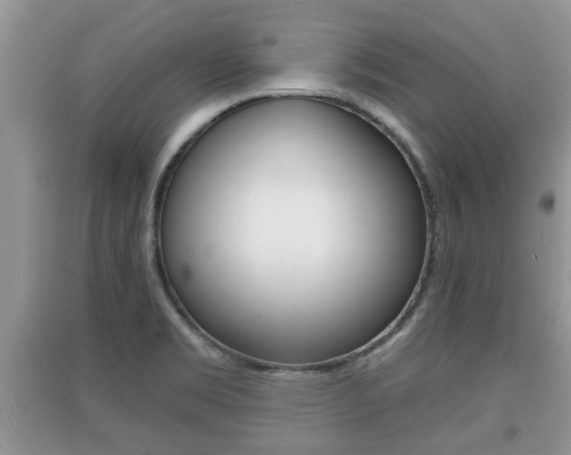 X0000091211469200708091105