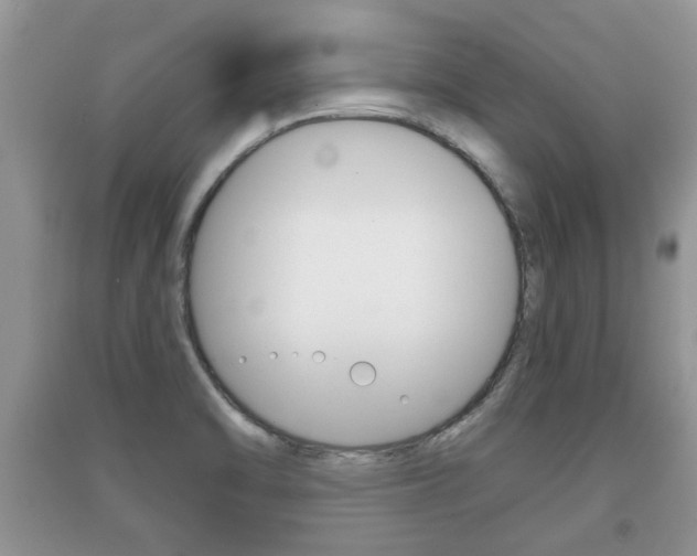 X0000091211470200708091105