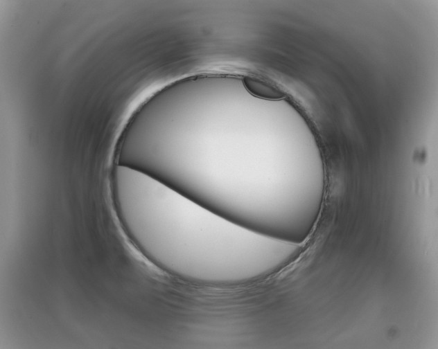 X0000091211471200708091105