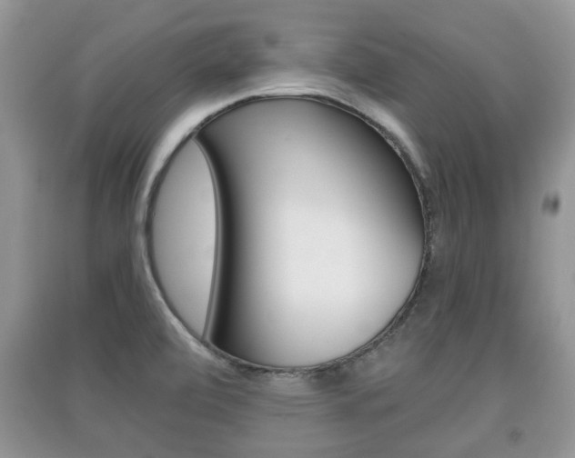 X0000091211472200708091105
