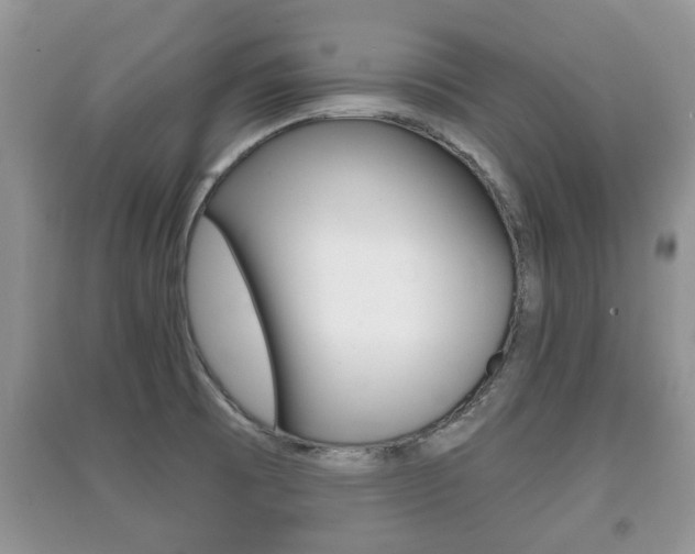 X0000091211473200708091105