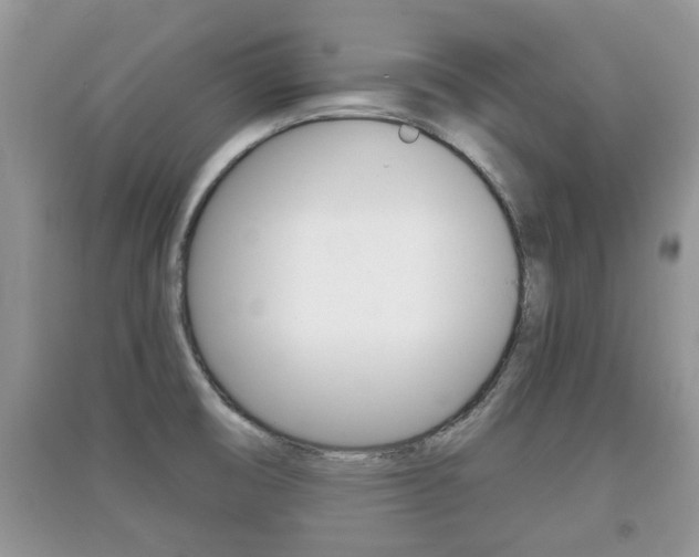 X0000091211474200708091105