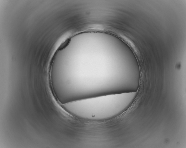 X0000091211475200708091105