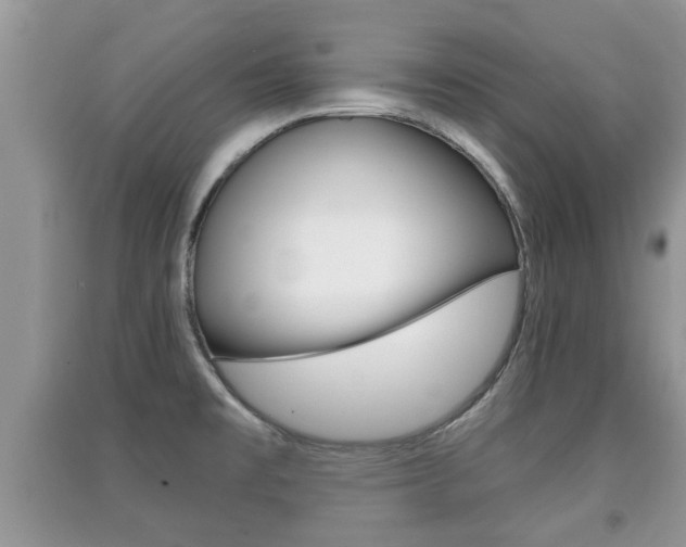 X0000091211477200708091105