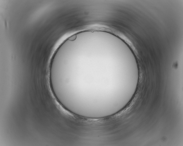 X0000091211478200708091105