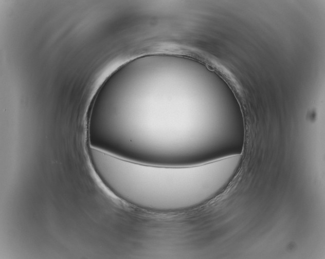 X0000091211479200708091105