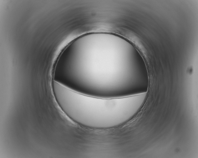 X0000091211480200708091105
