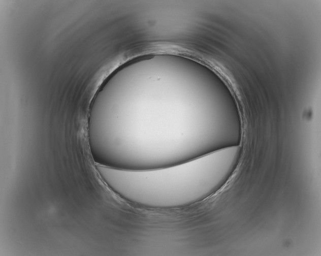 X0000091211481200708091105