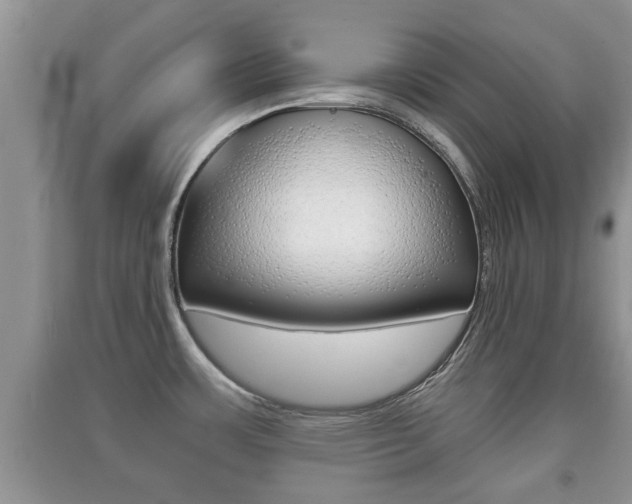 X0000091211483200708091105