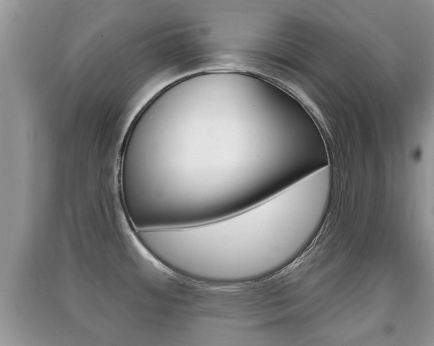 X0000091211484200708091105