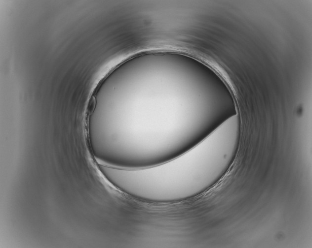 X0000091211485200708091105