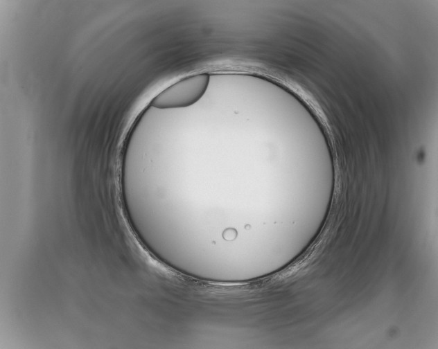 X0000091211486200708091105
