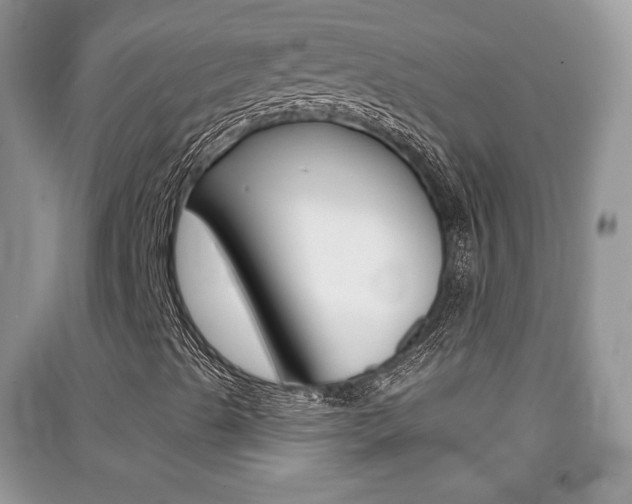 X0000091211489200708091104