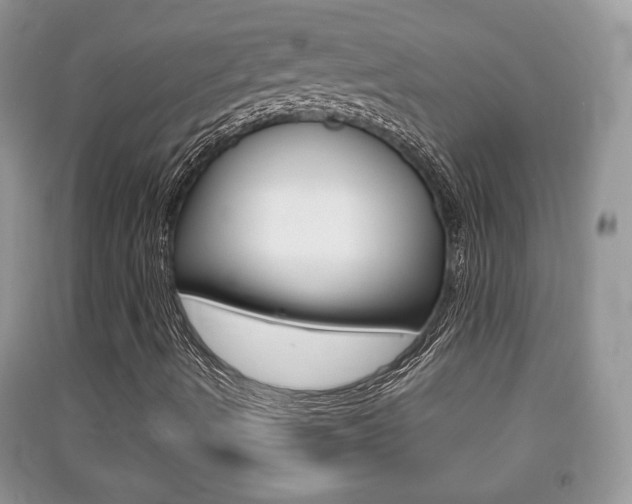 X0000091211490200708091104