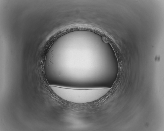 X0000091211495200708091104