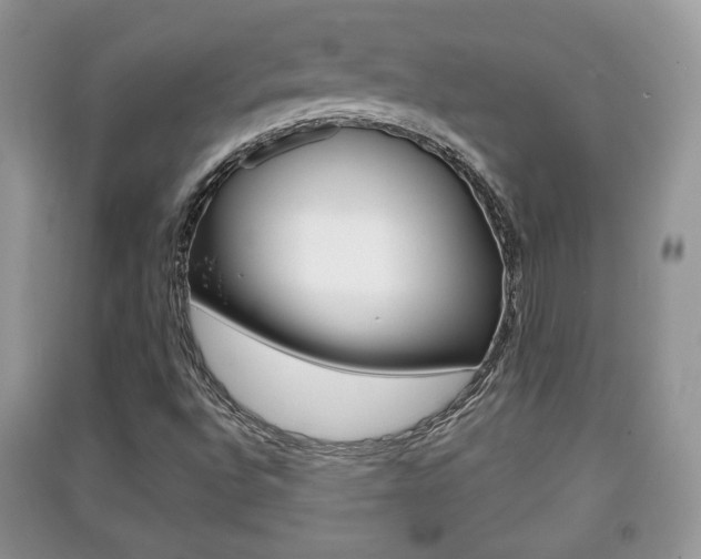 X0000091211496200708091104