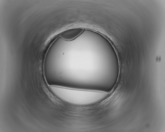 X0000091211499200708091104