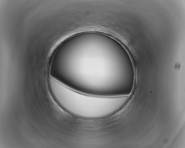 X0000091211500200708091104