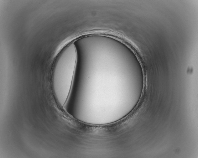 X0000091211501200708091104