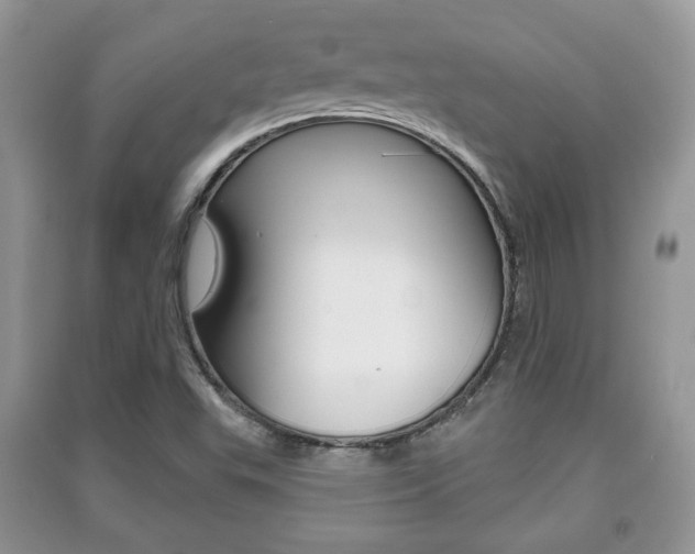 X0000091211503200708091104
