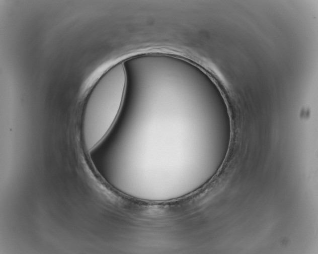 X0000091211504200708091104