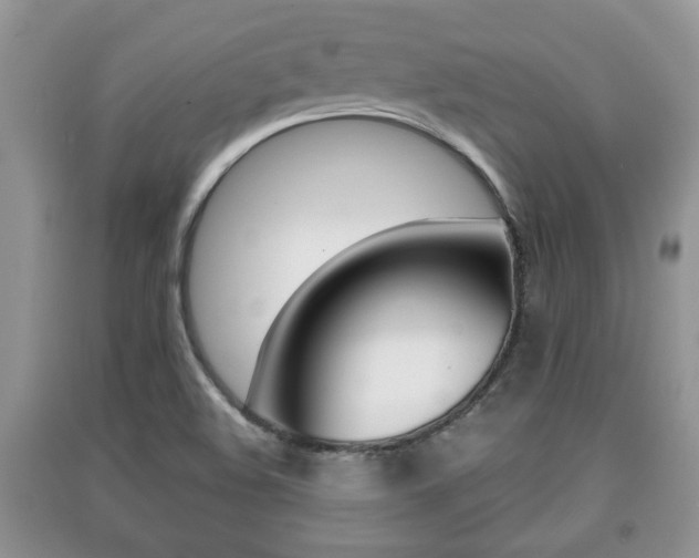 X0000091211508200708091104